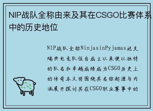 NIP战队全称由来及其在CSGO比赛体系中的历史地位